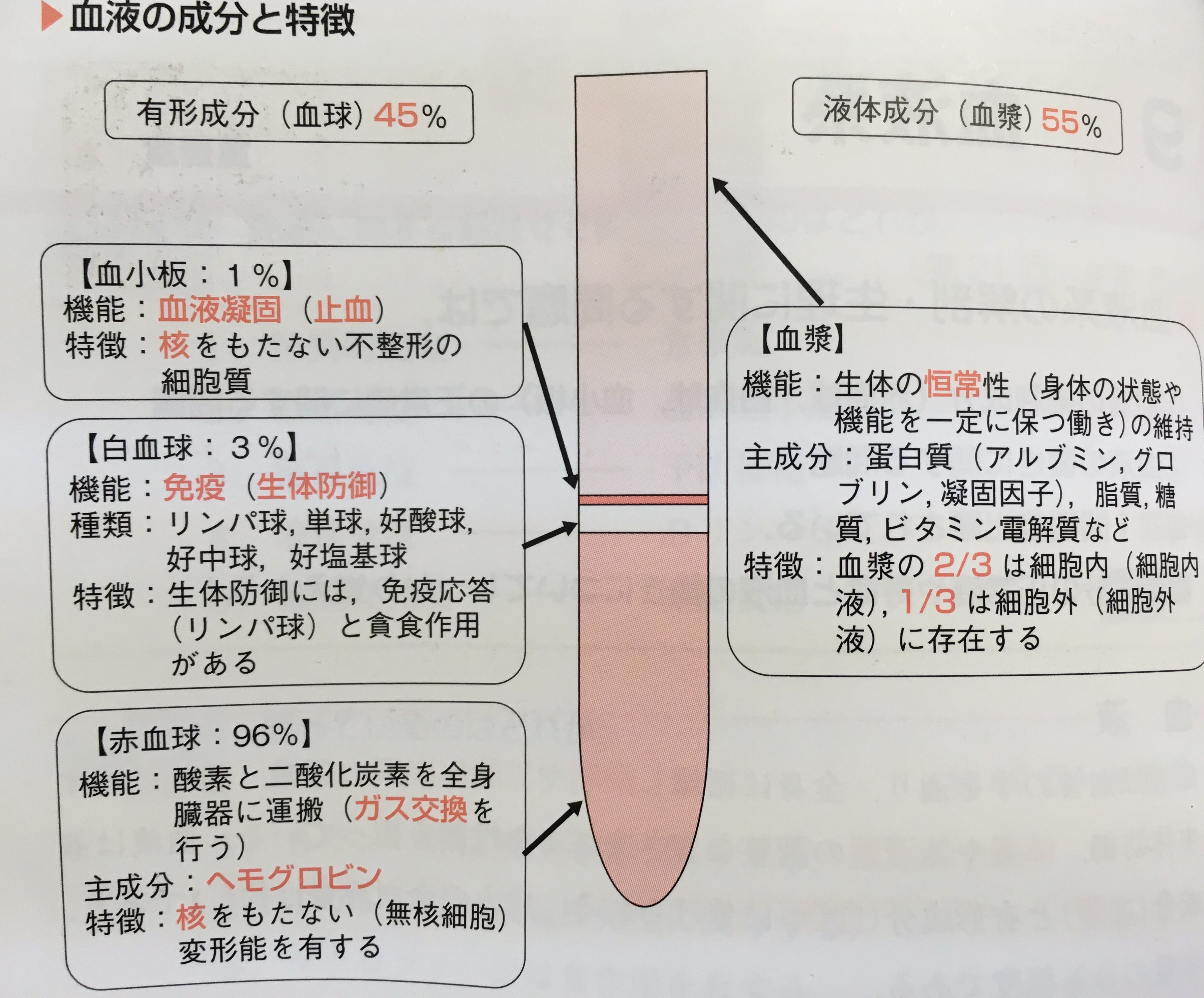 問題集 血液系 筋 骨格系 皮膚系 救命士国家試験対策 救急救命士学習塾