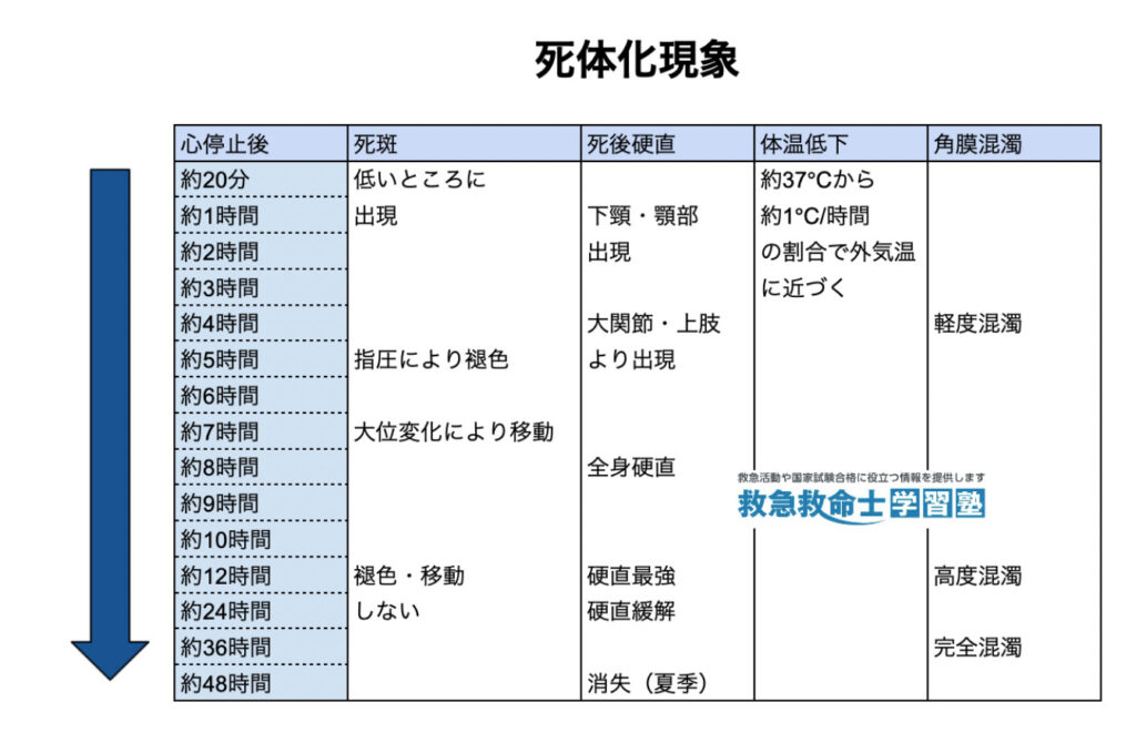 晩期死体現象腐敗 – 死後10日の遺体の変化 – GJDDRL