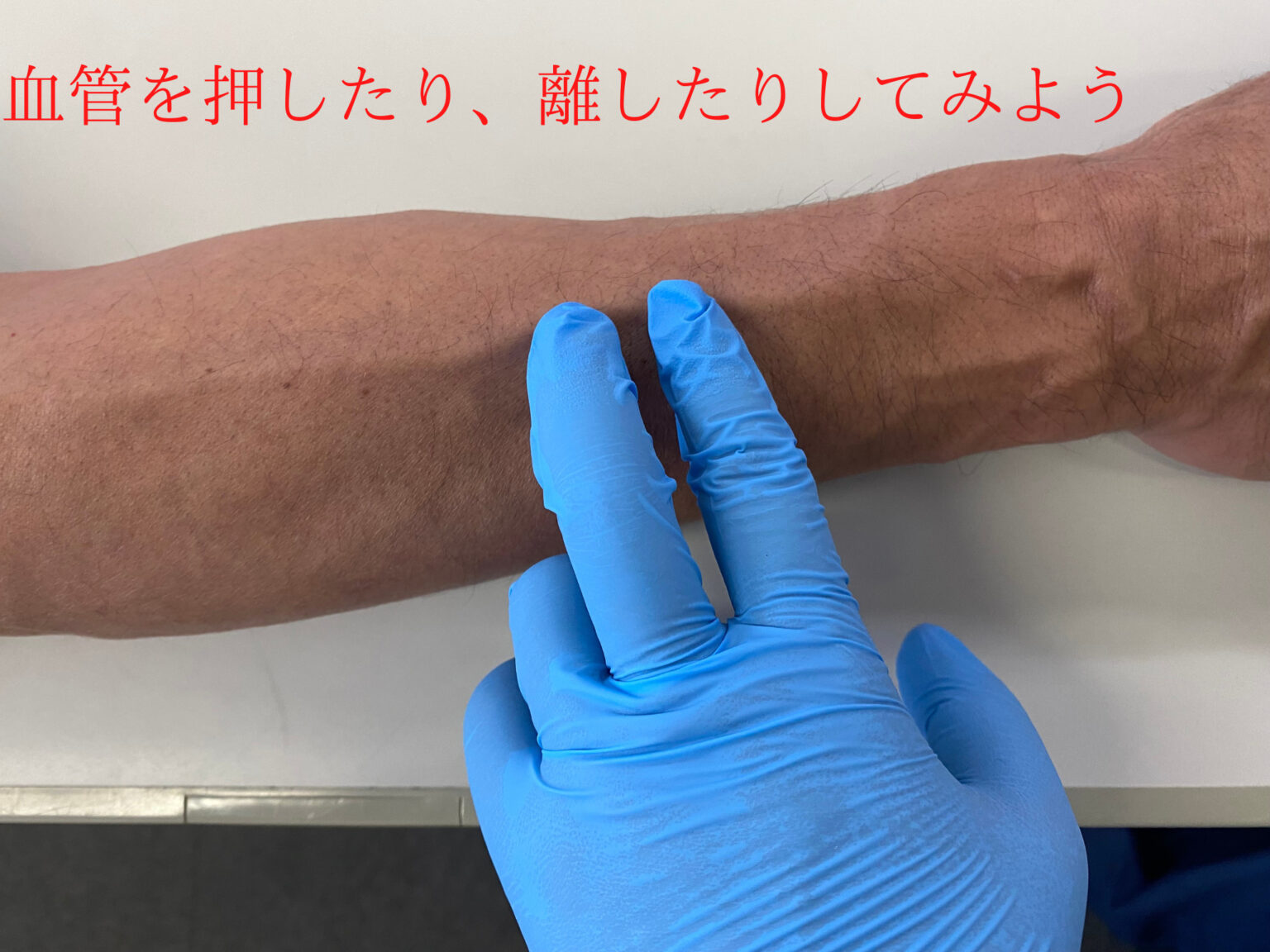 静脈の探し方, 動脈と静脈の役割 | TEDQBM