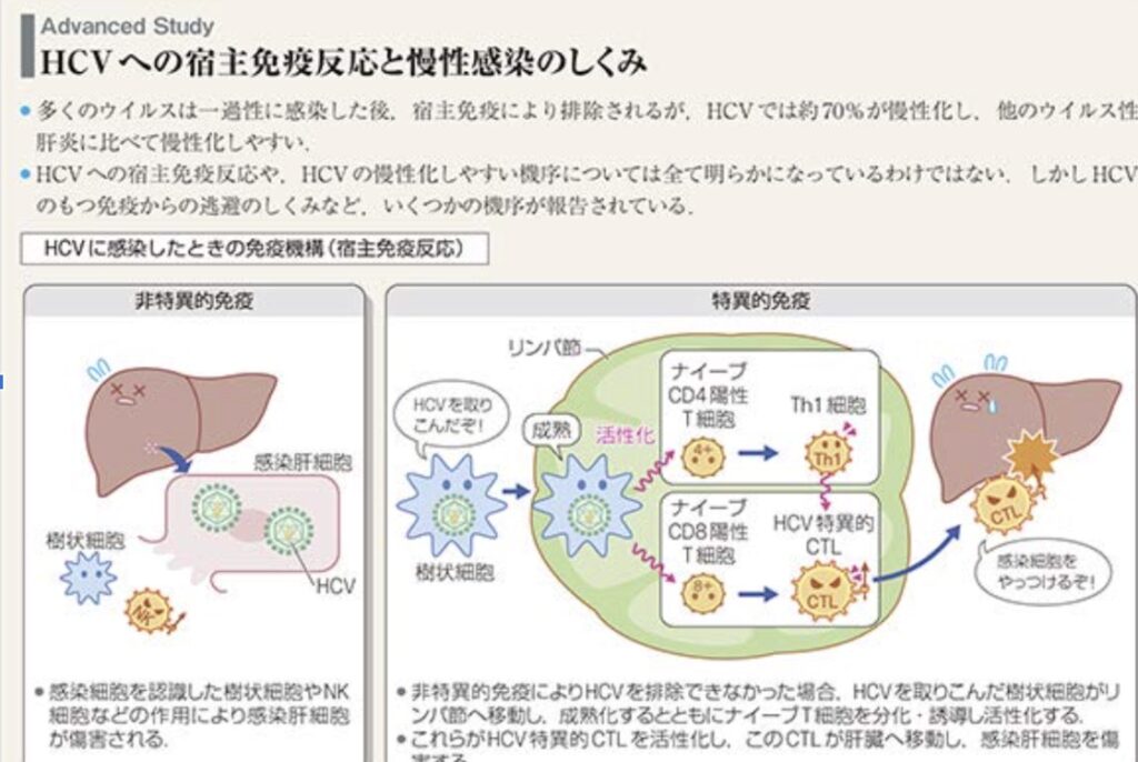 【2025年版】救急救命士国家試験｜おすすめテキスト6選