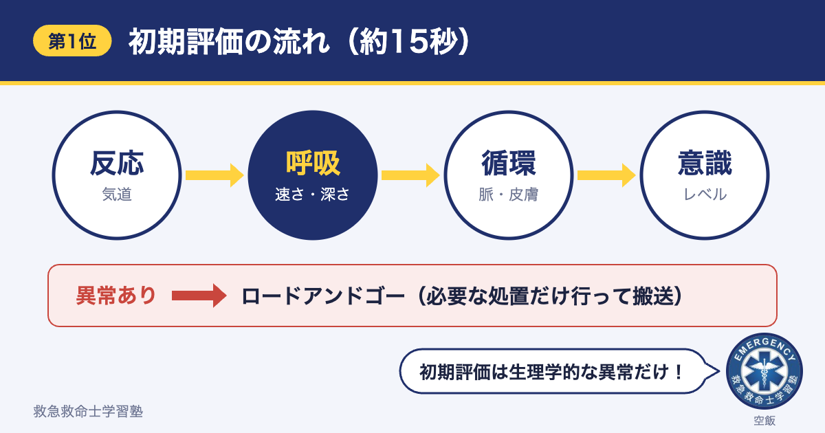 外傷の初期評価の流れ（反応・気道→呼吸→循環→意識、異常があればロードアンドゴー）