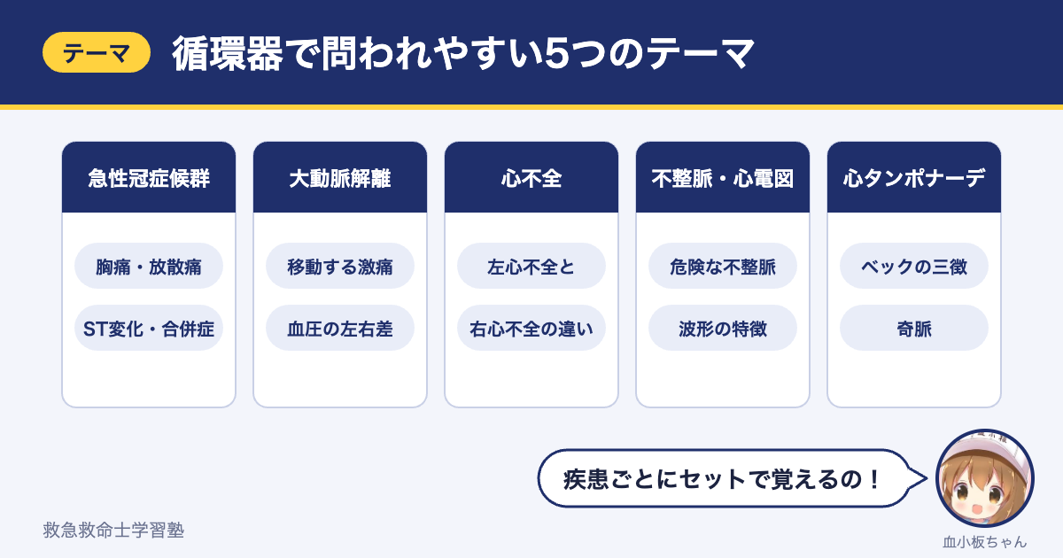 救急救命士国家試験の循環器で問われやすい5つのテーマ（急性冠症候群・大動脈解離・心不全・不整脈と心電図・心タンポナーデ）