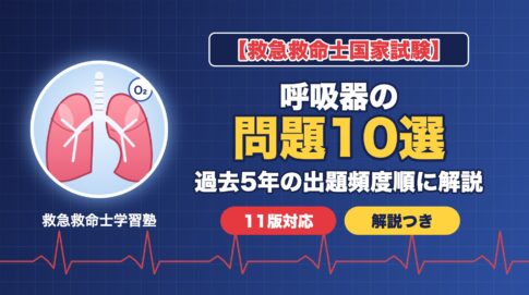 救急救命士国家試験 呼吸器の問題10選（過去5年の出題頻度順に解説）