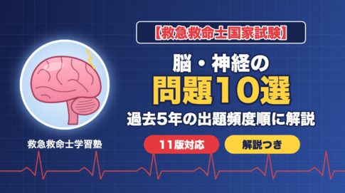 救急救命士国家試験 脳・神経の問題10選(過去5年の出題頻度順に解説)