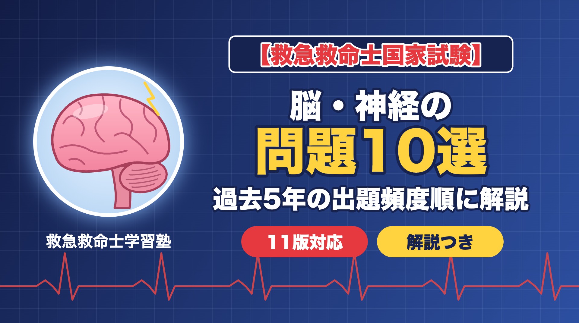 救急救命士国家試験 脳・神経の問題10選（過去5年の出題頻度順に解説）