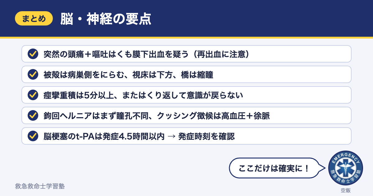 脳・神経の要点まとめ（5つのポイント）