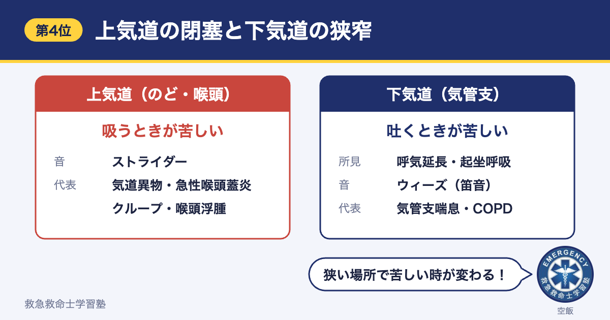 上気道の閉塞（吸気が苦しい・ストライダー）と下気道の狭窄（呼気延長・ウィーズ）の比較